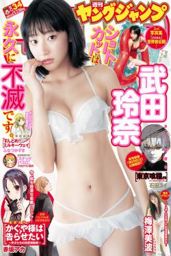 第三极