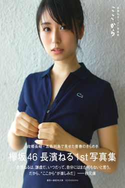 k9是什么意思
